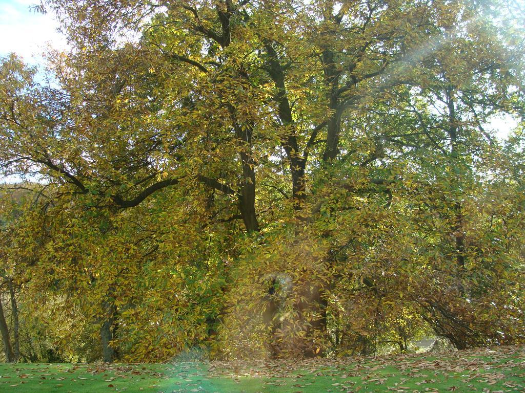 Chambre D'Hotes Les Champarts Tourville-la-Chapelle Exteriör bild