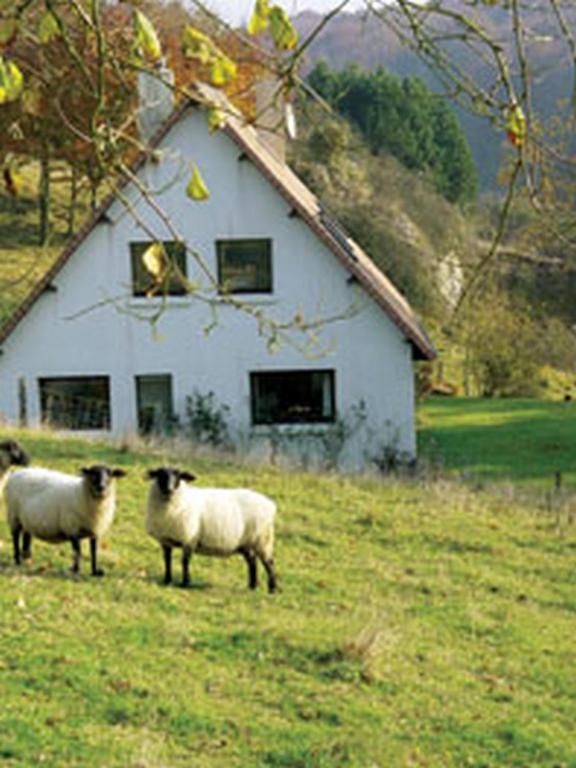 Chambre D'Hotes Les Champarts Tourville-la-Chapelle Exteriör bild