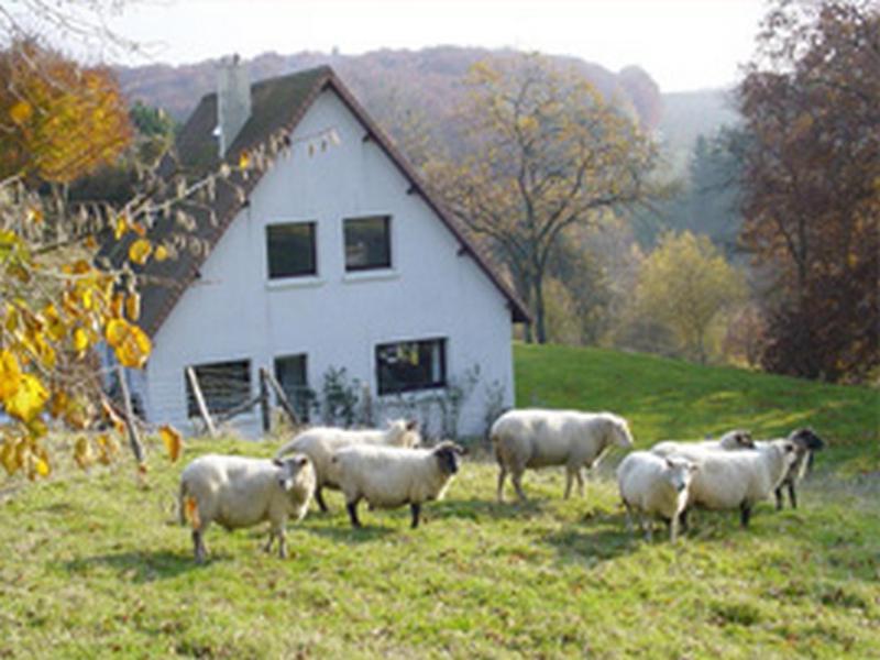 Chambre D'Hotes Les Champarts Tourville-la-Chapelle Exteriör bild