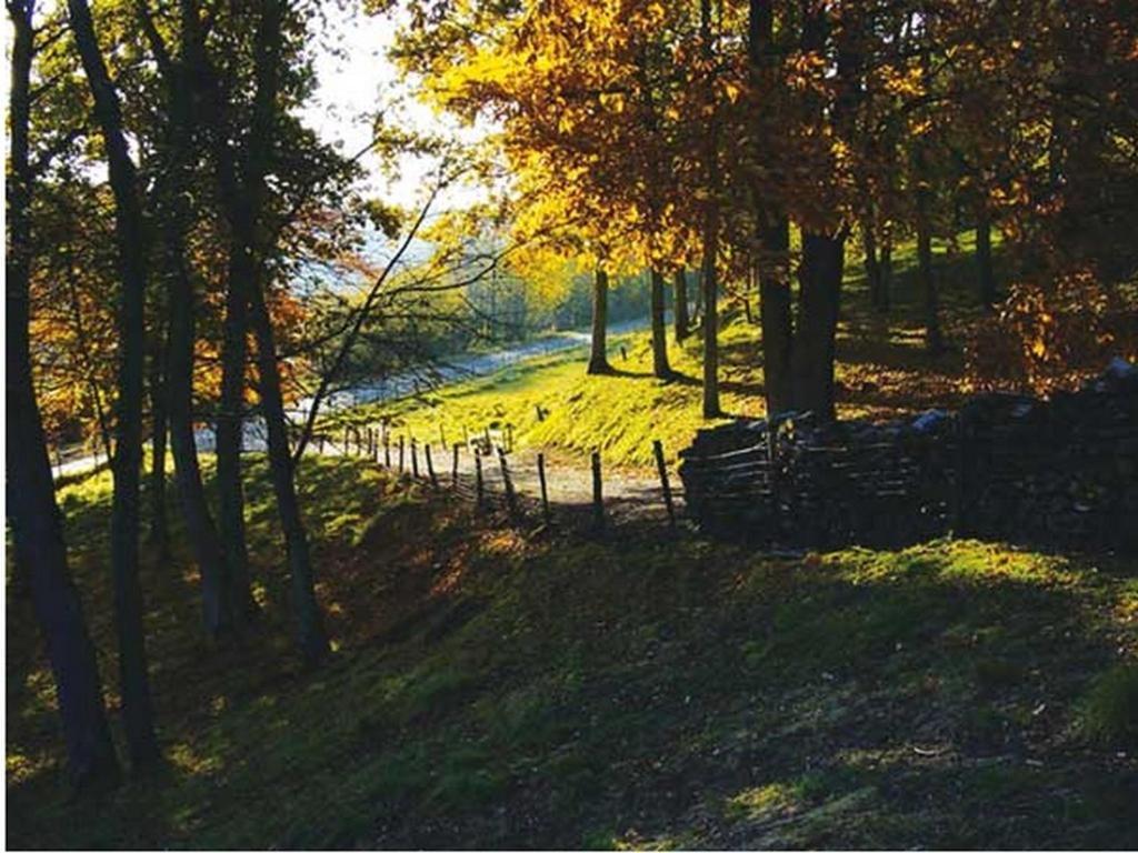 Chambre D'Hotes Les Champarts Tourville-la-Chapelle Exteriör bild